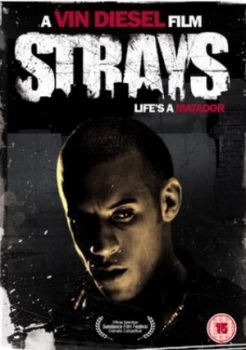 Image of Strays - DVD