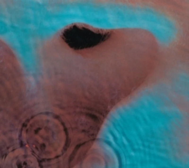 Image of Meddle CD / Album