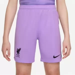 Image of Nike Liverpool FC 2022/23 Home Nike DRI-FIT Goalkeeper Shorts Junior - Purple