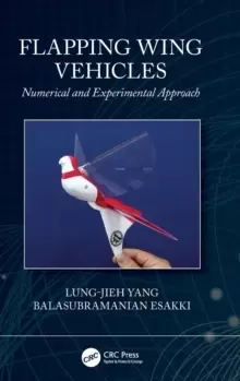 Image of Flapping Wing Vehicles : Numerical and Experimental Approach
