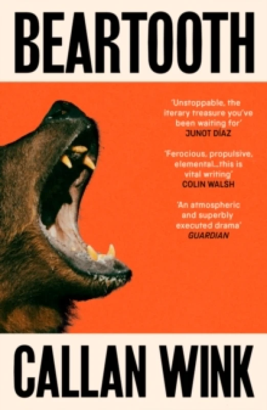 Image of Beartooth Paperback / softback