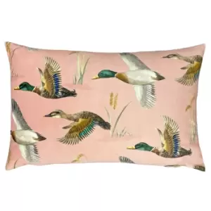 Image of Country Duck Pond Rectangular Cushion Blush, Blush / 40 x 60cm / Polyester Filled