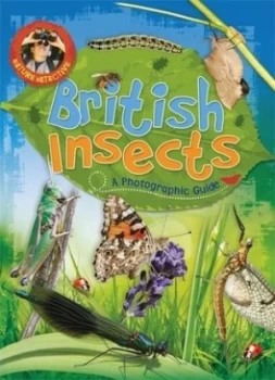 Image of British insects by Victoria Munson