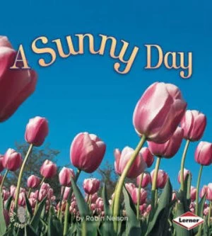 Image of A Sunny Day Paperback