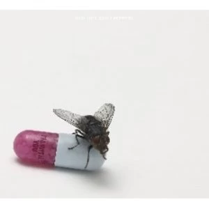 Image of Red Hot Chili Peppers Im With You CD