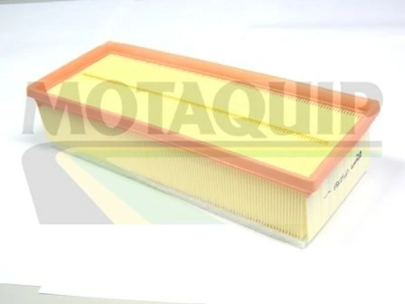 Image of MOTAQUIP Air filter MOTAQUIP VFA1169