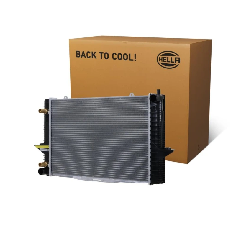 Image of HELLA Engine radiator HELLA 8MK 366 302-391