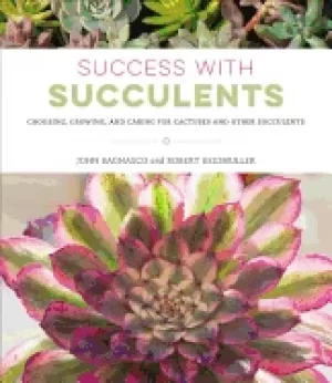 Image of success with succulents choosing growing and caring for cactuses and other