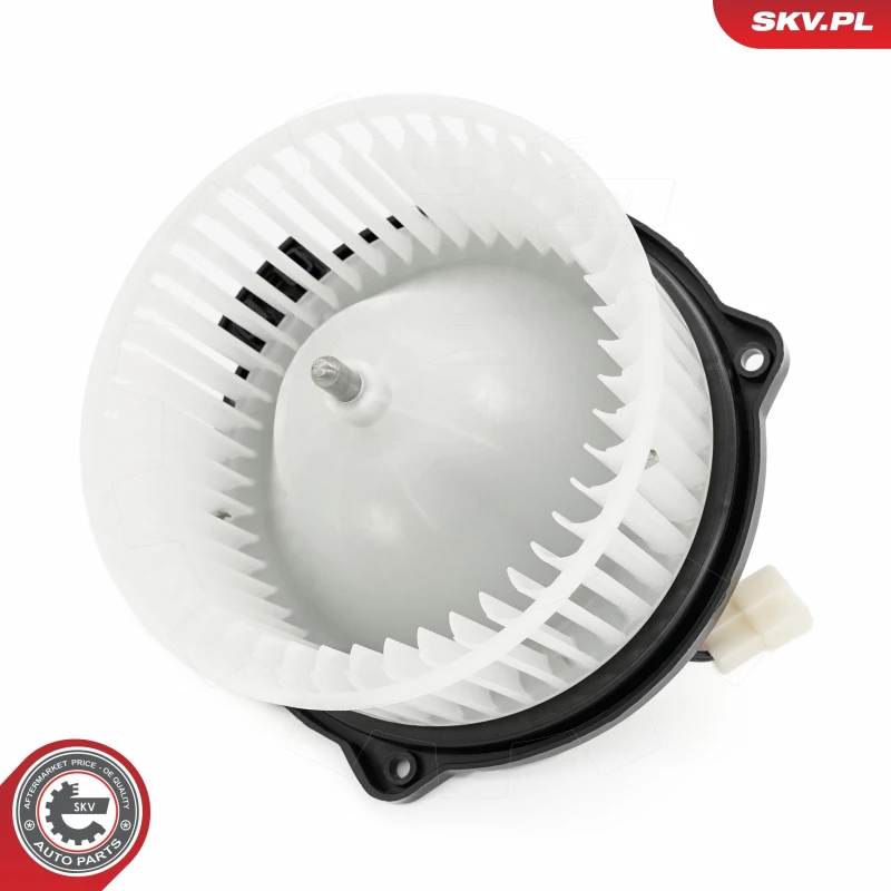 Image of ESEN SKV Blower motor ESEN SKV 68SKV192