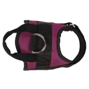 Image of Regatta Refl Dog Harn 99 - Multi