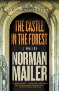 Image of castle in the forest a novel