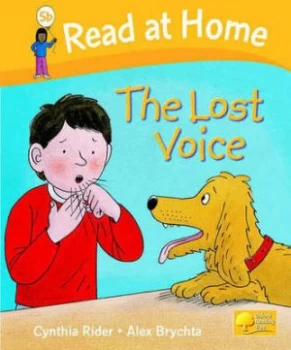 Image of The Lost Voice by Cynthia Rider Hardback