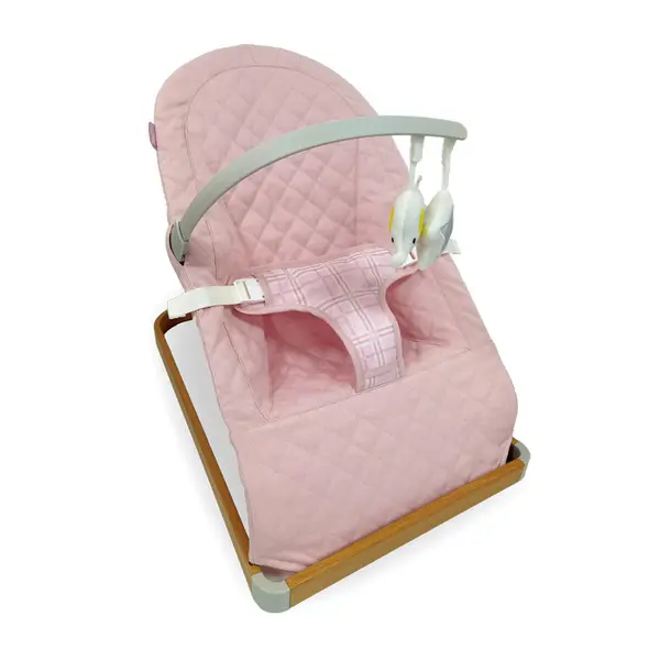 image of Dani Dyer Pink Plaid Baby Bouncer