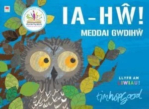 Image of Ia-Hw Meddai Gwdihw by Tim Hopgood Book