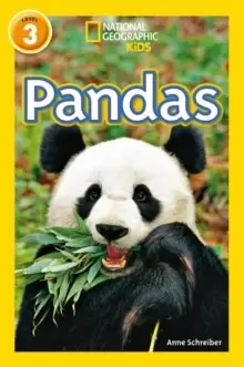 Image of Pandas : Level 3