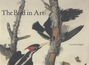 Image of The Bird in Art by Caroline Bugler Hardback
