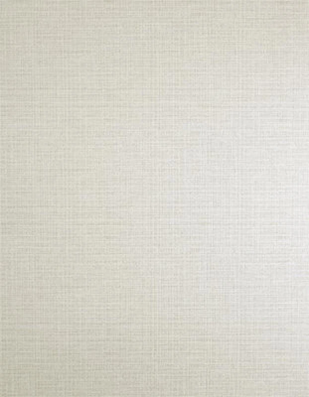 Image of Fine Decor Rowan Plain Textured Wallpaper - Stone Tone VWIBN Unisex