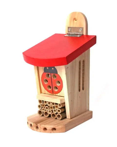 Image of Wildlife World Live Ladybird Lodge