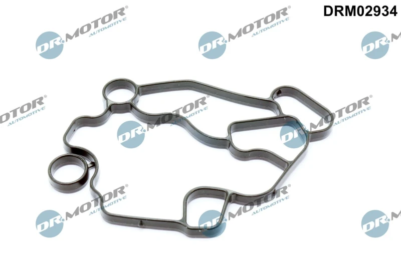 Image of DR.MOTOR AUTOMOTIVE Oil filter housing gasket DR.MOTOR AUTOMOTIVE DRM02934