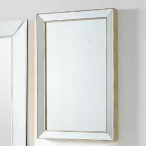 image of Antique Gold Effect Metal and Foxed Glass Rectangular Mirror 60 x 90cm Silver