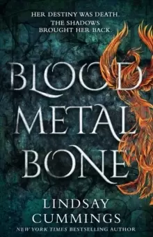 Image of Blood Metal Bone