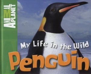 Image of Penguin by Meredith Costain and Gary Hanna Hardback