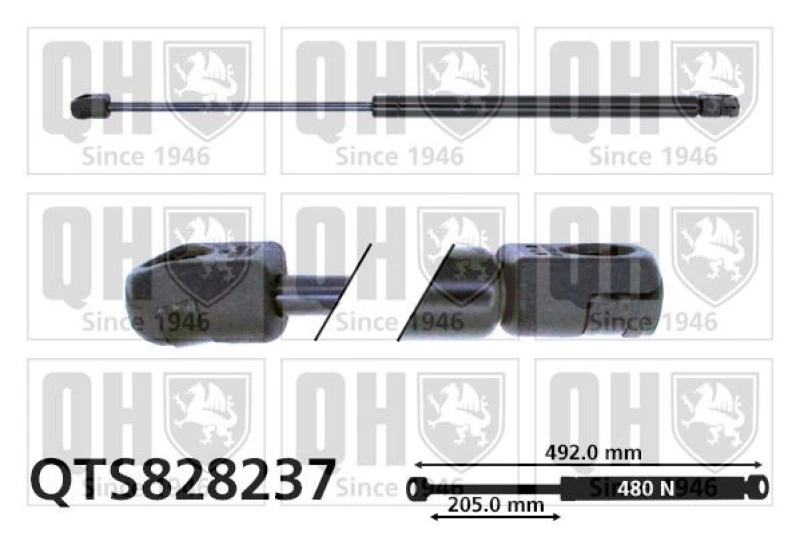 Image of QUINTON HAZELL Tailgate strut QUINTON HAZELL QTS828237