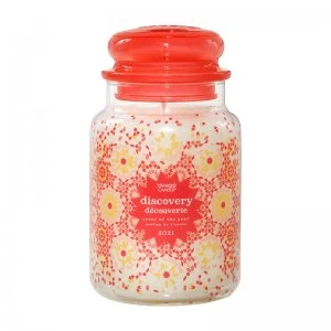 Image of Yankee Candle Original Large Scent Of The Year 21
