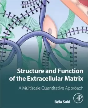 Image of Structure and Function of the Extracellular Matrix by Bela Suki
