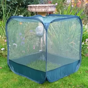 Image of Mini Pop Up Net Fruit Cage - 50cm x 50cm x 50cm (Pack of 3)