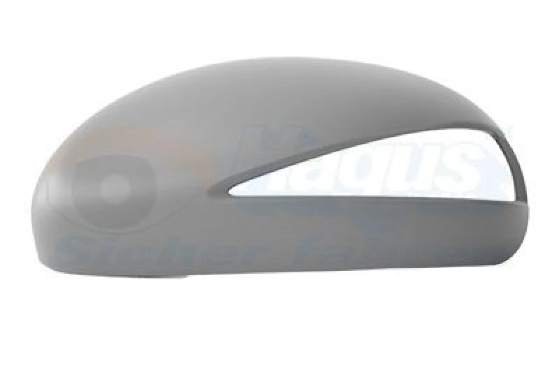 Image of VAN WEZEL Wing mirror cover VAN WEZEL 2580843