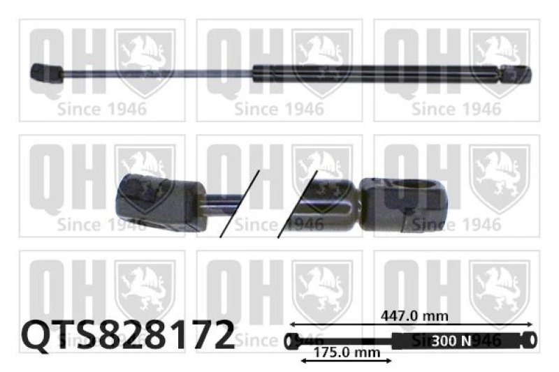 Image of QUINTON HAZELL Bonnet strut QUINTON HAZELL QTS828172