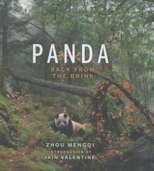 Image of Panda by Zhou Mengqi Hardback