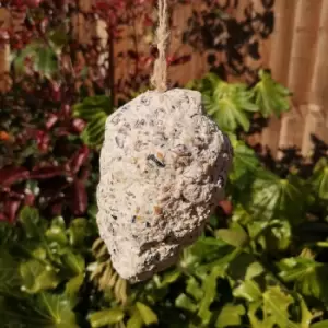 image of Pack of 3 Tom Chambers Wild Garden Bird Suet Pinecone Containing Suet and Seeds with Hanging String