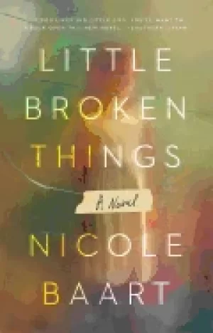 Image of little broken things