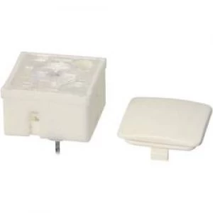Image of Switch cap RAFI 5.46654.0590227