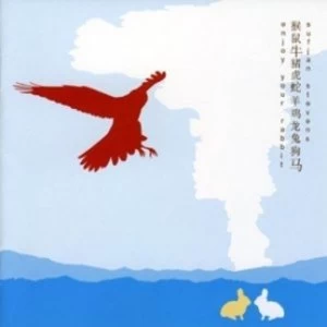 Image of Stevens Sufjan - Enjoy Your Rabbit CD