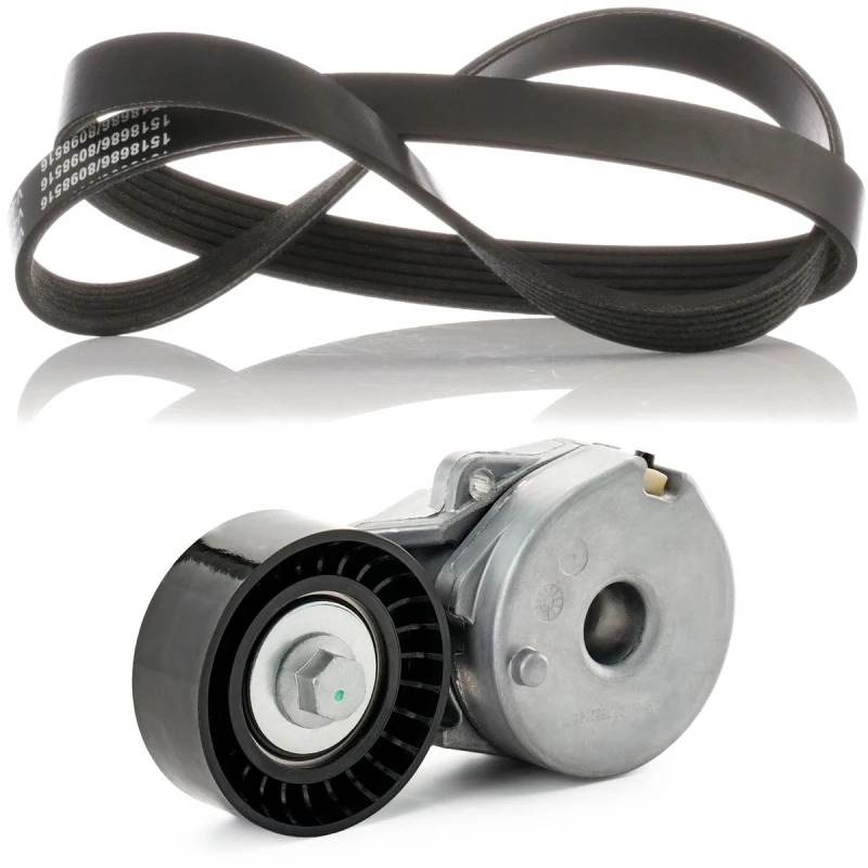 Image of RIDEX 542R1060 V-ribbed belt set Check alternator freewheel clutch & replace if necessary V-Ribbed Belt Set (542)