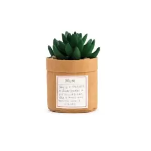 Image of Plant Kindness - Mum