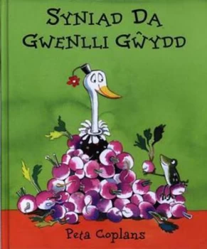 Image of Syniad Da Gwenlli Gwydd by Peta Coplans Hardback