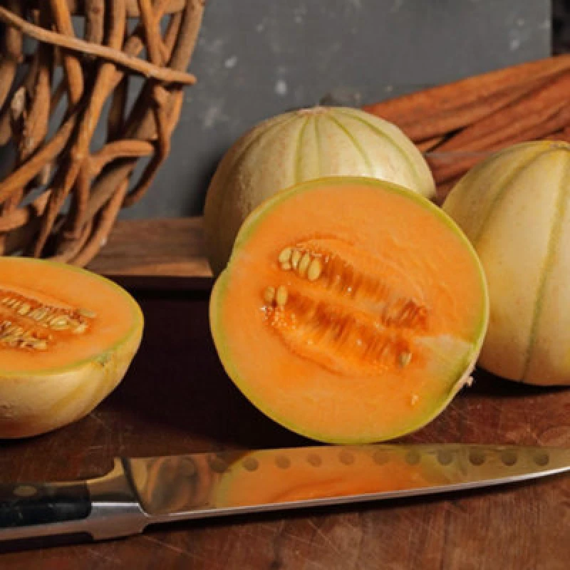 Image of Thompson & Morgan Mini Charentais Melon Seeds - Rare Sweet Fragrant Orange Flesh Ideal For Cooler Climates & Small Gardens (4 Seeds)