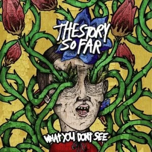 image of What You Dont See by The Story So Far CD Album