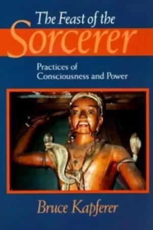Image of The Feast of the Sorcerer by Bruce Kapferer
