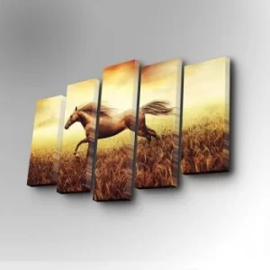 Image of 5PUC-013 Multicolor Decorative Canvas Painting (5 Pieces)