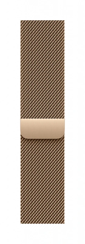 Image of Apple MGHW4ZM/A Smart Wearable Accessories Band Gold Stainless steel MGHW4ZM/A