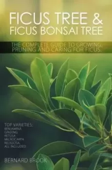 Image of Ficus tree and ficus bonsai tree by Bernard Brook