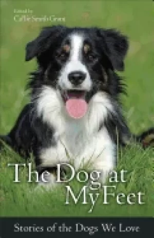 Image of dog at my feet stories of the dogs we love