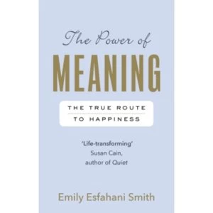 Image of The Power of Meaning : The true route to happiness (Paperback, 2017)
