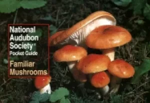 Image of national audubon society pocket guide familiar mushrooms