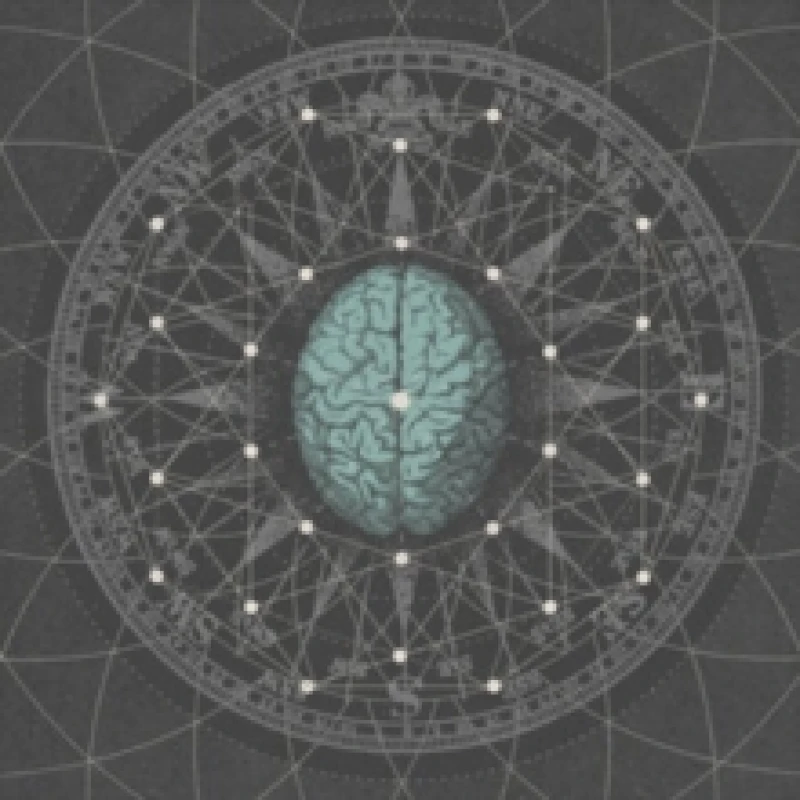 Image of Metaphysisize Vinyl
